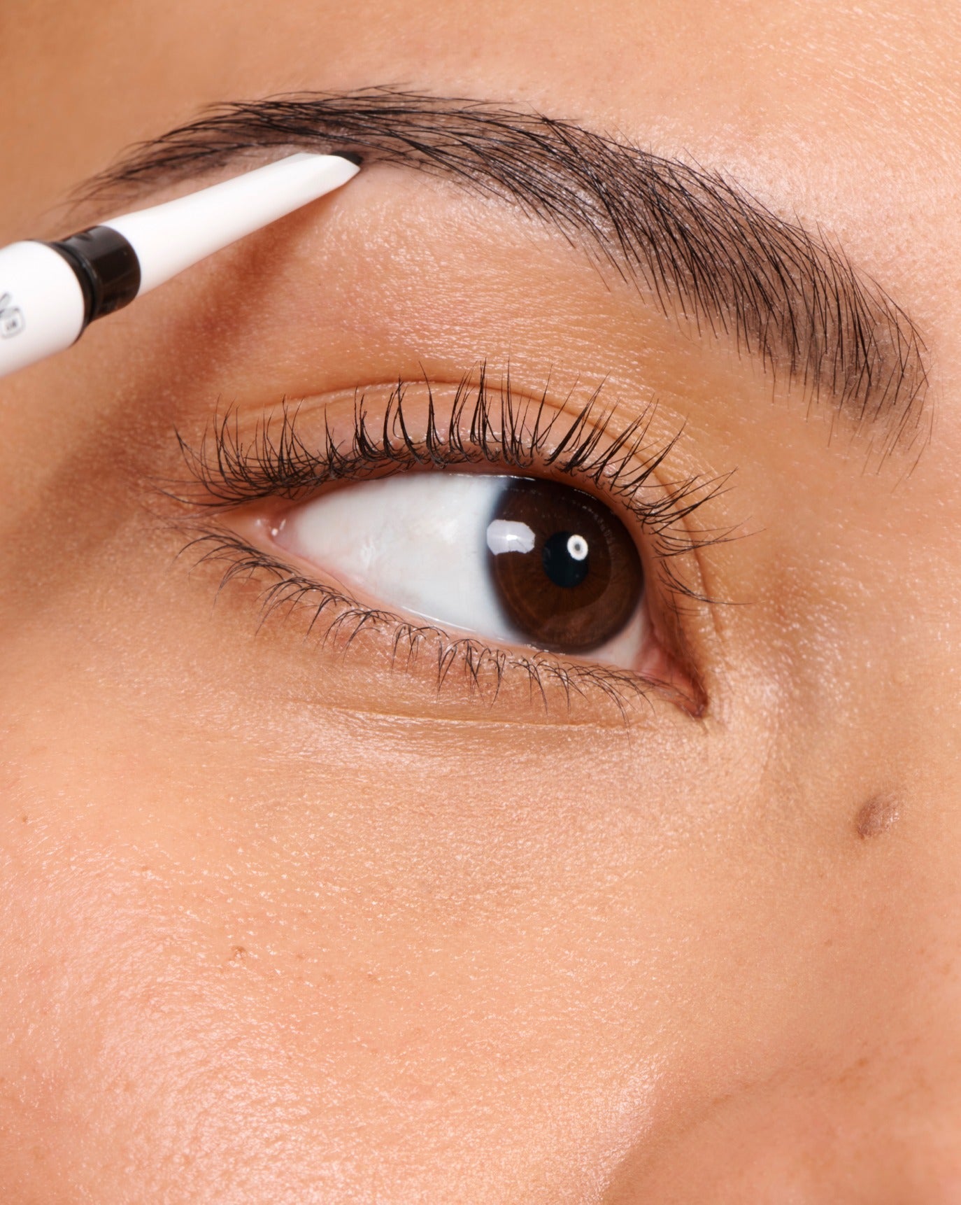 The Brow Kit