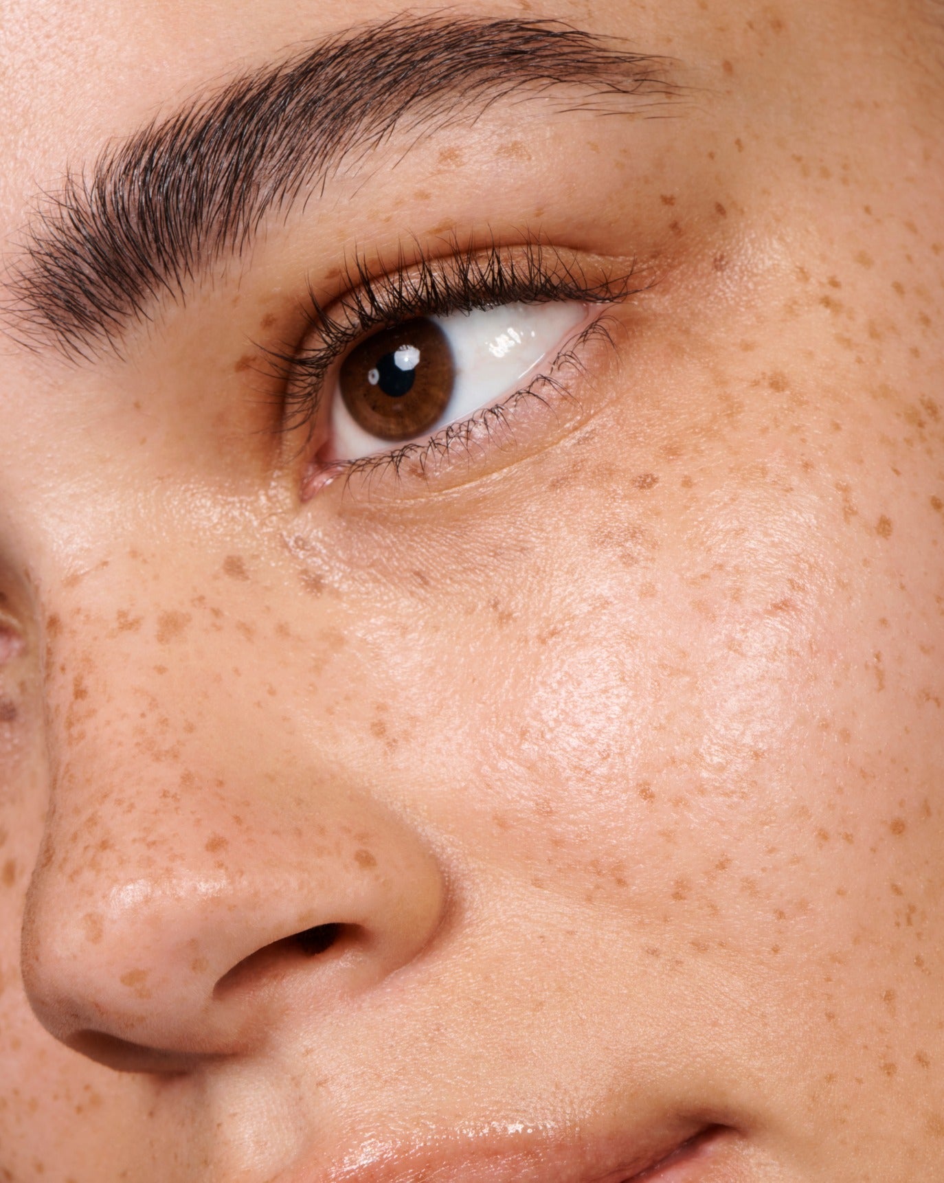 The Brow Kit
