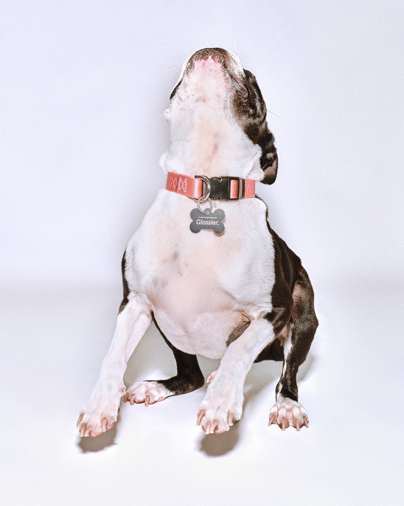 You Look Good Collar