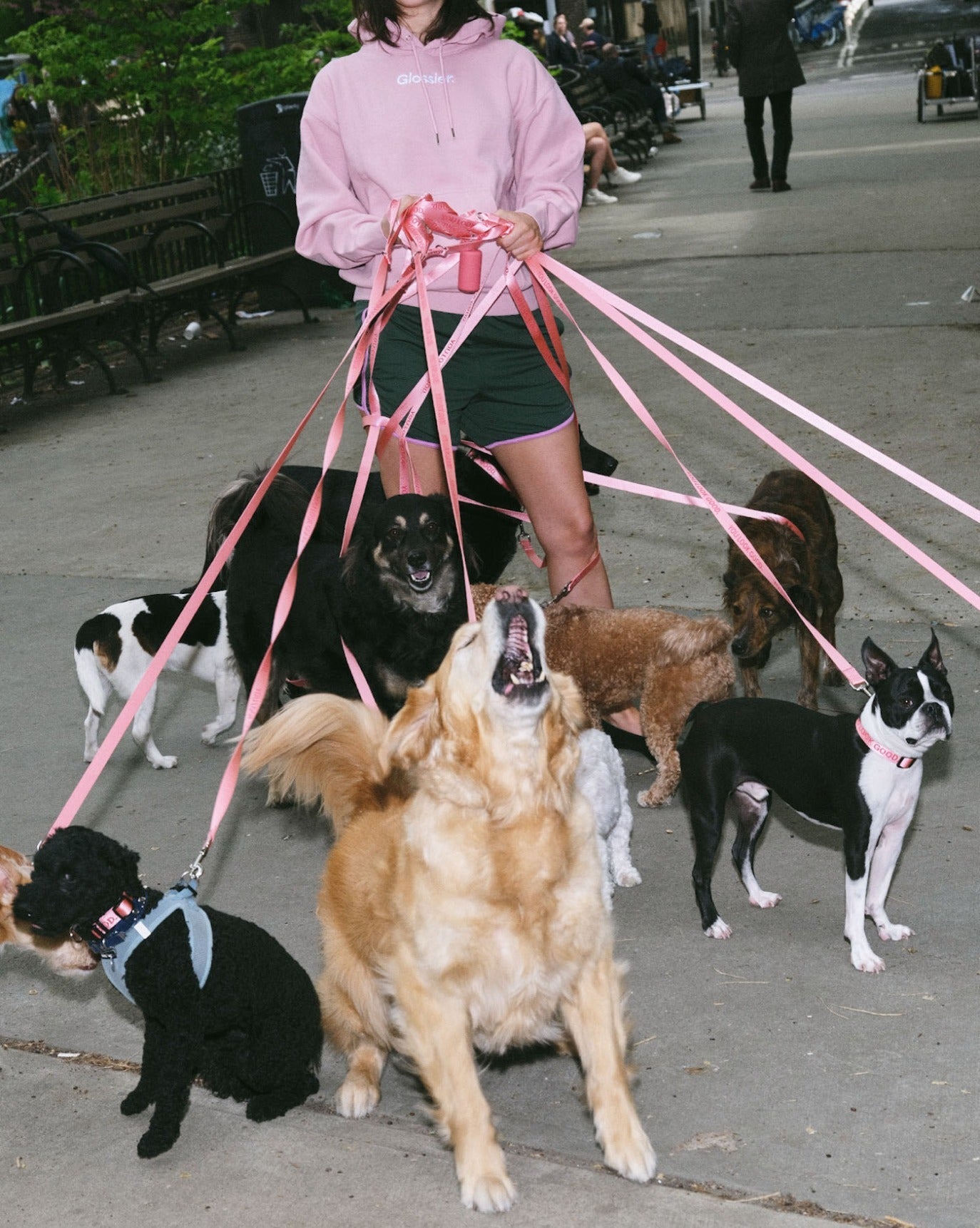 You Look Good Pet Set