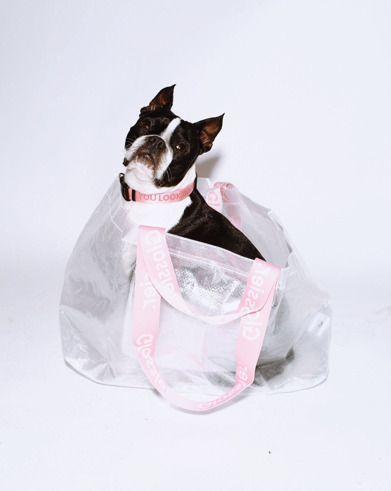 Errand Bag