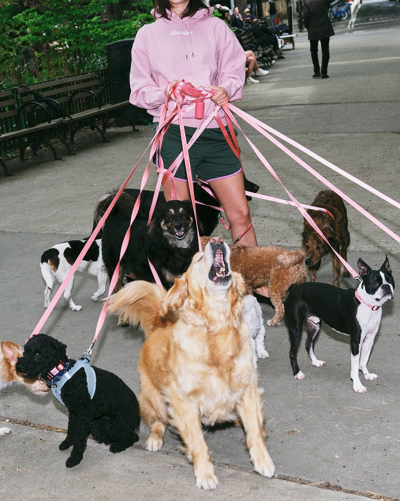 You Look Good Leash
